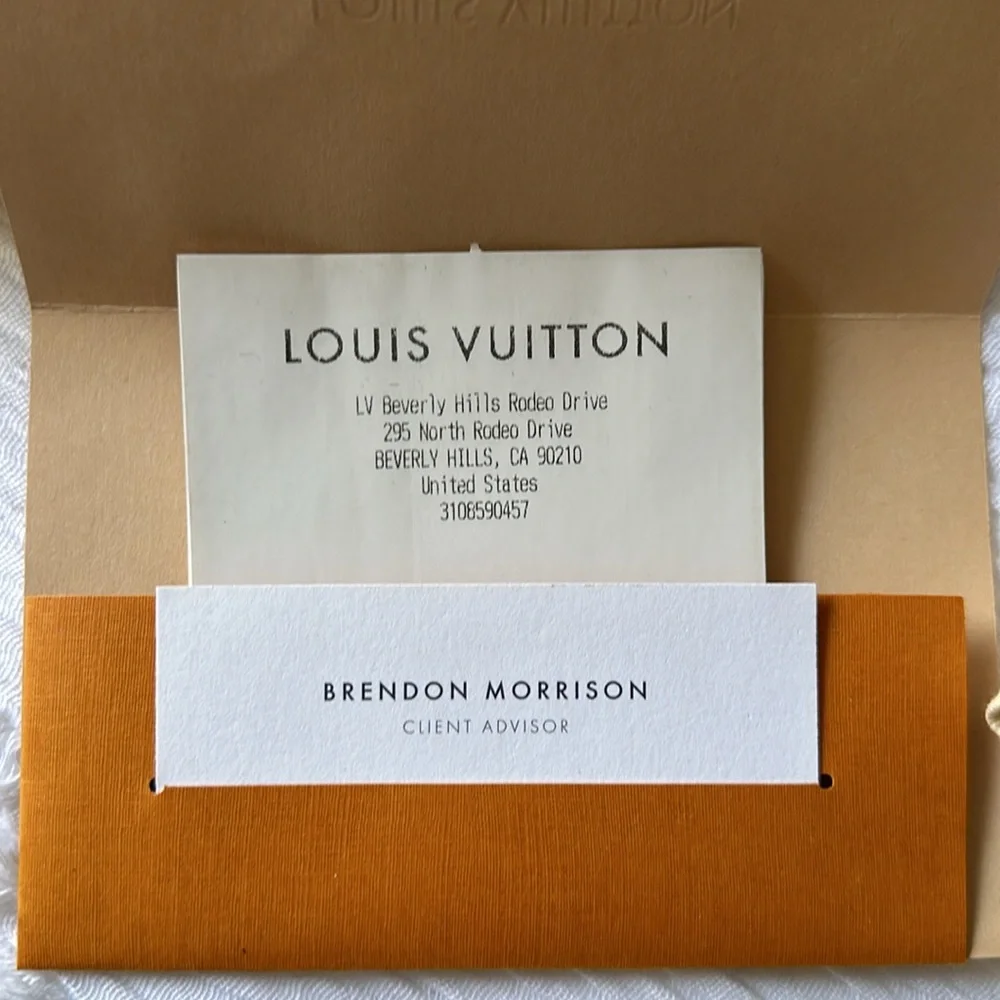 LIKE NEW LOUIS VUITTON SPEEDY 25 DAMIER EBENE - Picture 2 of 15